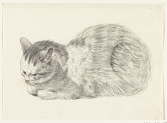 Liggende kat, naar links by Jean Bernard