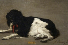 'Miss' by François Bonvin
