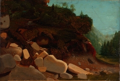 Nature Study with Rocks by August Cappelen