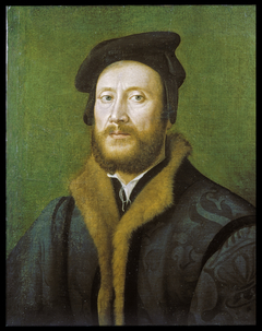 Portrait of a Bolognese Gentleman in a Fur-lined Coat by Giuliano Bugiardini