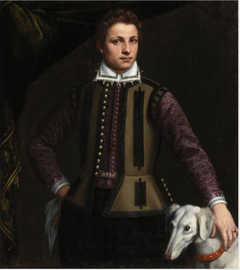 Portrait of a Young Gentleman by Unknown Artist