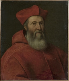 Portrait of Cardinal Jacopo Sadoleto by Jacopino del Conte