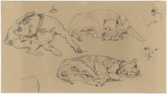 Schetsen van een hond by Guillaume Anne van der Brugghen