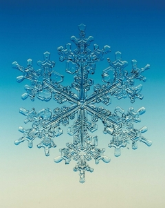 Snowflake from A Drop of Water: A Book of Science and Wonder by Walter Wick