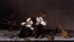 Still Life with Apple Blossoms