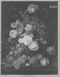 Still - life with flowers + fruits by Franz Xaver Petter