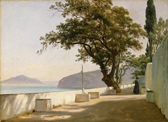 Terrace with Oak, Sorrento by Thomas Fearnley