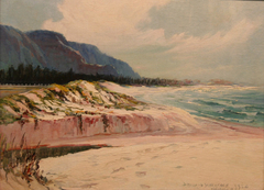 The Beach at Waimanalo by D. Howard Hitchcock