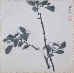 Two Twigs of Camellia (Two Twigs of Flowering Fruit)