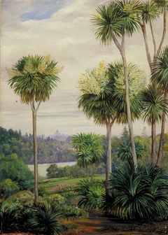 View of Melbourne from the Botanic Gardens