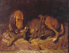 Bloodhound and Pups