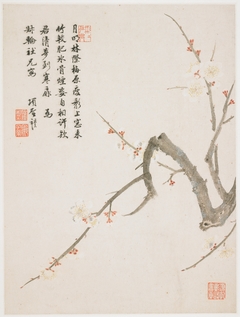 Blossoming plum from a Flower Album of Ten Leaves by Xiang Shengmo