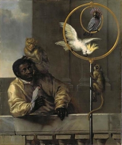 Boy with Parrots and Monkeys by David Klöcker Ehrenstrahl