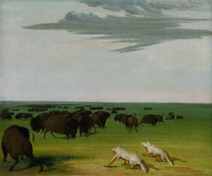 Buffalo Hunt under the Wolf-skin Mask