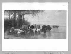 cows + sheep at a lake by Christian Mali