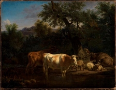 Forest landscape with resting cows and sheep