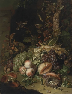 Fruit on a Forest Floor