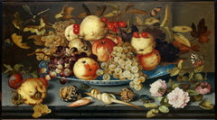Fruits, Shells and Insects