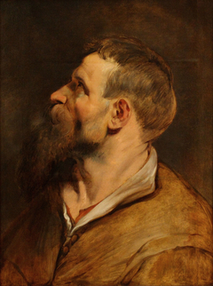 Head of a bearded man looking left by Peter Paul Rubens