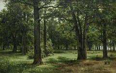 In the Protected Peter's the Great Oak Grove (In Sestroreck) by Ivan Shishkin