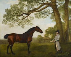 John Gascoigne (d. 1812) with a Bay Horse by George Stubbs