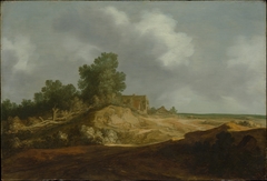 Landscape with a Cottage by Pieter de Molijn