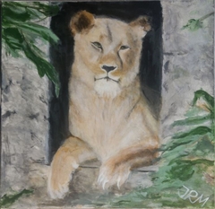 Lioness by John Marsh 1