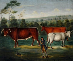 Long-horned Cattle with a Cowherd in a Landscape by Anonymous