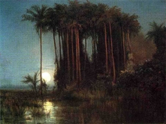 Moonlight over a Marsh in Ecuador by Louis Rémy Mignot