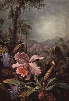 Orchids, Passion Flowers and Colibris by Martin Johnson Heade