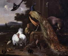 Peacocks and Farmyard Fowls with a Magpie in a Landscape