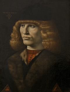 Portrait of a Young Man by Giovanni Antonio Boltraffio