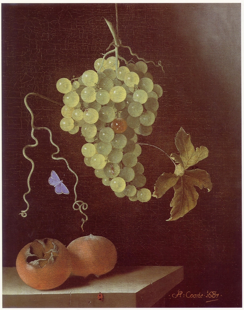 Still life with hanging bunch of grapes, two medlars and a butterfly