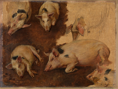 Study of six Pigs