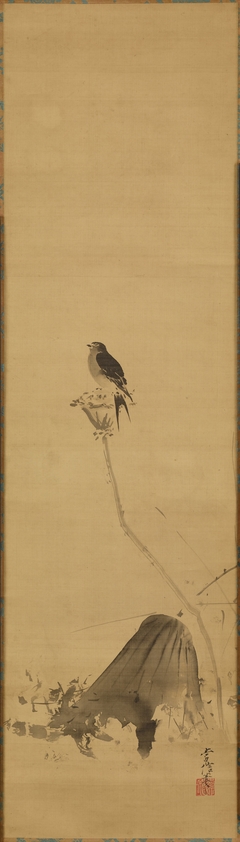 Swallow on a Lotus [right of a pair of Swallow and Heron] by Kanō Tsunenobu