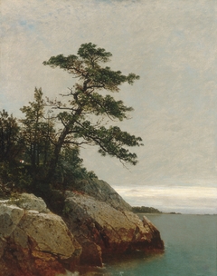 The Old Pine, Darien, Connecticut by John Frederick Kensett