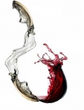 The wine's transition