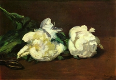 Weiße Pfingstrosen by Edouard Manet