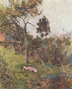 Young Woman Lying in the Grass