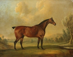 A Chestnut Stallion in Landscape by Thomas Weaver
