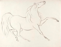 A Horse - James Howe - ABDAG002783.1 by James Howe