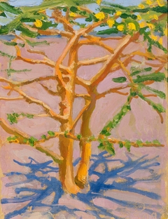 Acacia on the Savannah by Akseli Gallen-Kallela