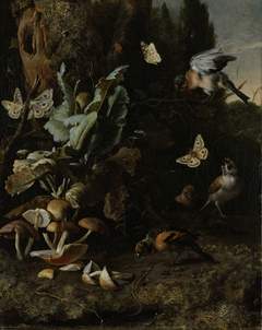 Animals and Plants by Melchior d'Hondecoeter