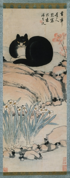 Black Cat and Narcissus by Zhu Ling