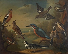 British Birds (Pair of Chaffinches, Goldcrest; Woodlark; Kingfisher; Long Tailed Tits; Stonechat and a  Wagtail) by Charles Collins