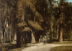 Crossroad in the Forest by Julius Robert Hoening