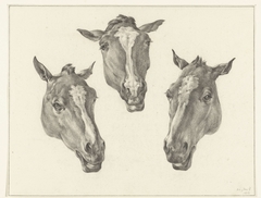 Drie paardenhoofden by Jean Bernard