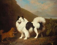 Fino and Tiny by George Stubbs