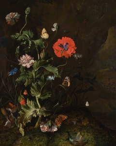 Forest floor still-life with flowers, insects and butterflies on a mossy bank