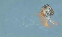 Head of a Tigress - John Macallan Swan - ABDAG003750